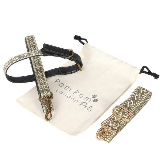 Collar and Lead Set - Sage Green LARGE